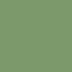 Shutter Standard Colour Pale Eucalypt (Satin)